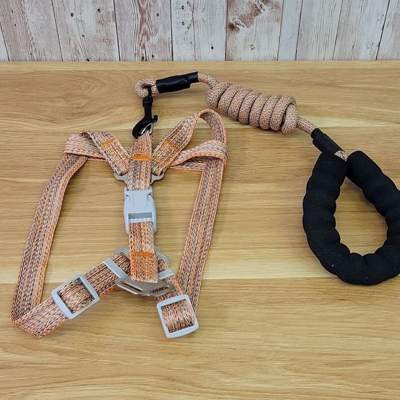 Dog leash and harness